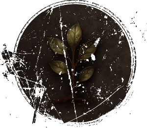 Age of Awakening icon